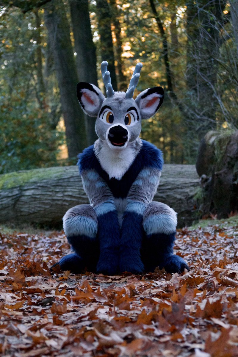 I’m an autumn puppy! 🍂