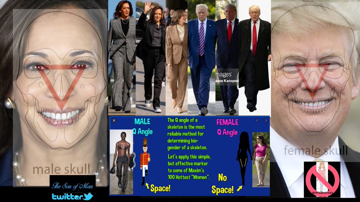 TheSono71468392's tweet image. Forensics  is THE most Powerful TRUTH God has given You..
- Kamala Vs Donald