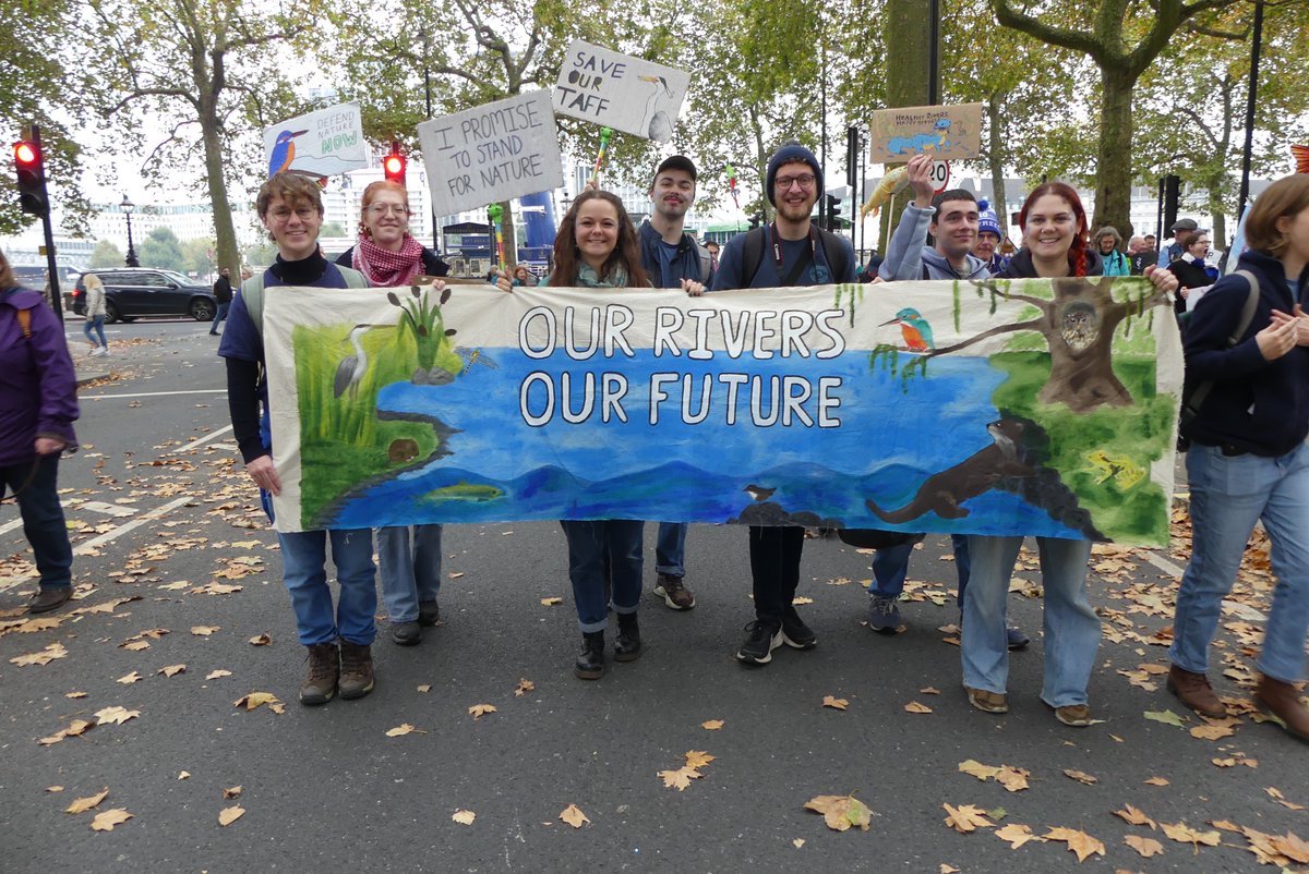 Ali Morse tweet media