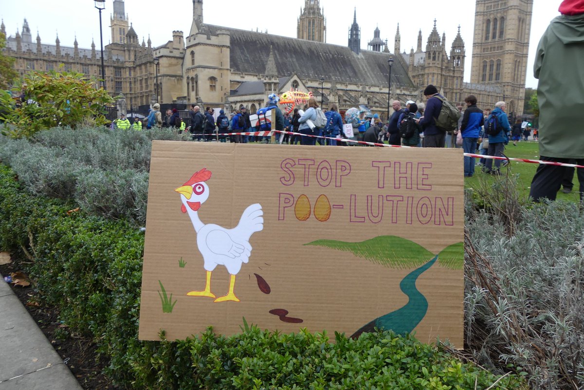 Ali Morse tweet media