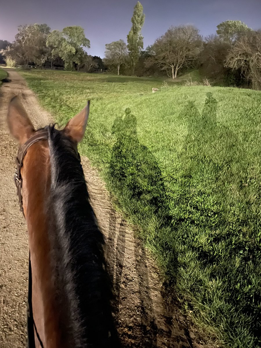 Aillyn_PP's tweet photo. Et oui, même quand il fait nuit, et froid, il faut quand même monter 🤷♂️#PonyTime https://t.co/1UohrCzUr3
