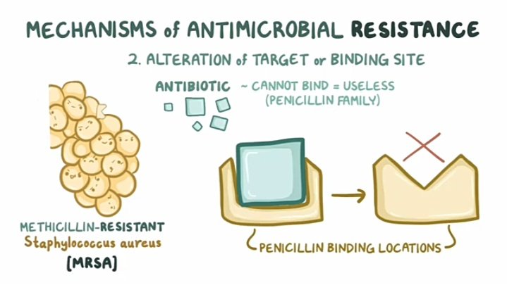 tumusiime_jr's tweet photo. Mechanisms how AMR comes about......... 
#YouthAgainstAMR @UYCAS256 @AMRclub_KIU @LiraUniAMRclub @LIRA_UNIVERSITY @TindiMaruti1 @EdemafredOtto https://t.co/gQtr4jzJNV