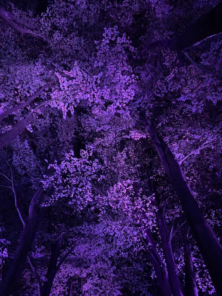 violet✧*。 tweet media