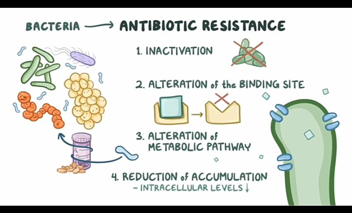 tumusiime_jr's tweet photo. @UYCAS256 @AMRclub_KIU @LiraUniAMRclub @LIRA_UNIVERSITY @TindiMaruti1 @EdemafredOtto End of thread 🧵🧵 
What to do:
Regulation o antibiotic And antifungal use by following prescription and avoiding self prescription....... 
@UYCAS256 @LiraUniAMRclub @LIRA_UNIVERSITY @EdemafredOtto @TindiMaruti1 @AMRclub_KIU 
#YouthAgainstAMR https://t.co/3NoD22j3yf