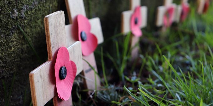 Poppies on crosses are lined up on a grassy field. 