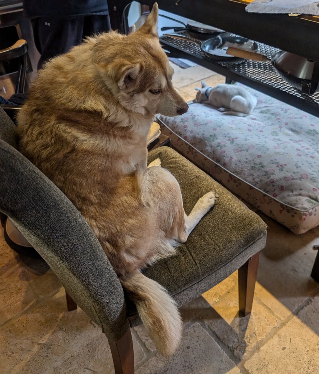 @fruney.bsky.social🇺🇦 tweet media