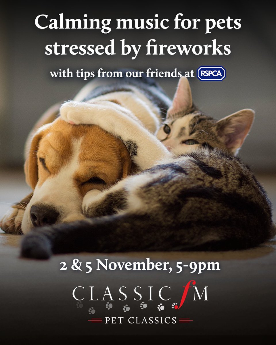 Laura (@l3mve1) on Twitter photo 