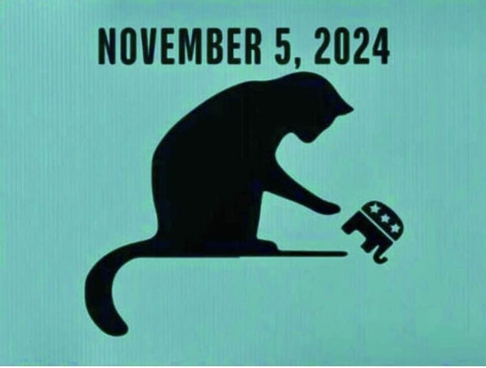 Hanne Skovby (@hanneskovby) on Twitter photo 