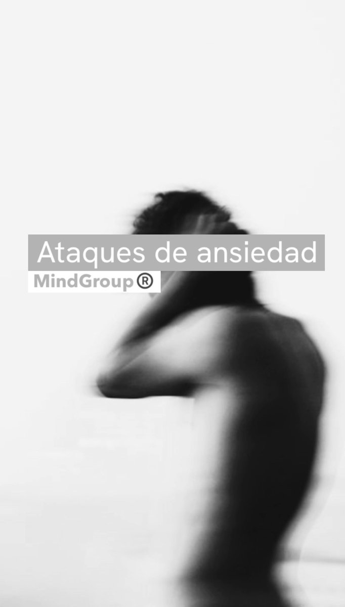 MindGroup®️ tweet media
