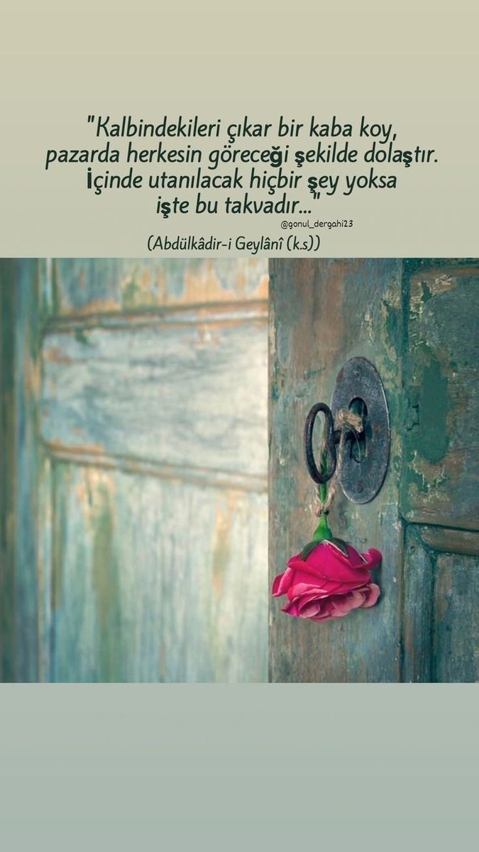 Yazar sayfaların birinde okurlarına içini şöyle açmış ; "Yazdıklarımı beni sev diye yazmadım, seni sevdiğim için yazdım."