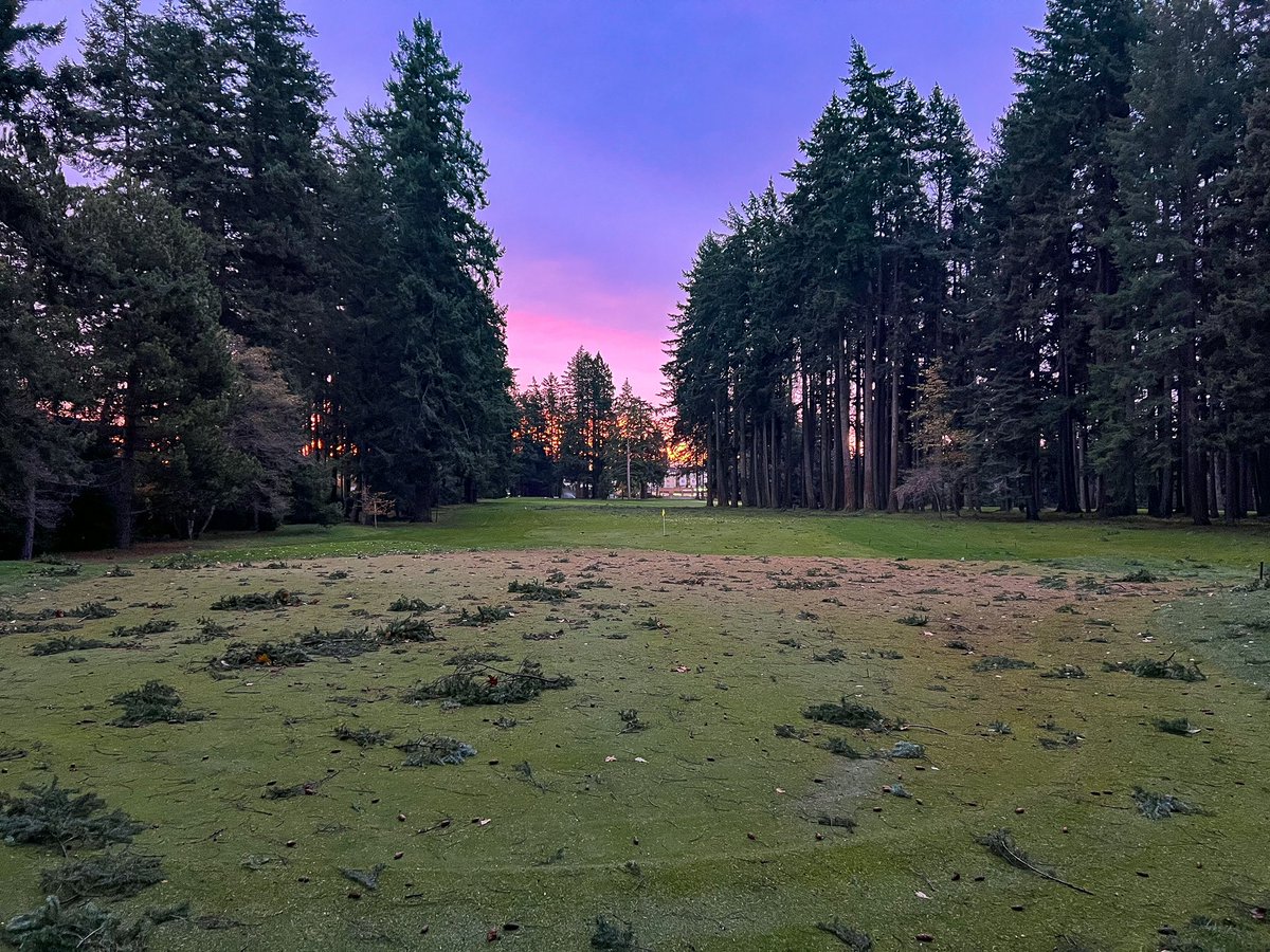 _lehman01's tweet photo. 16th Green this morning @RoyalColwoodGC https://t.co/aT1FLA9LwL