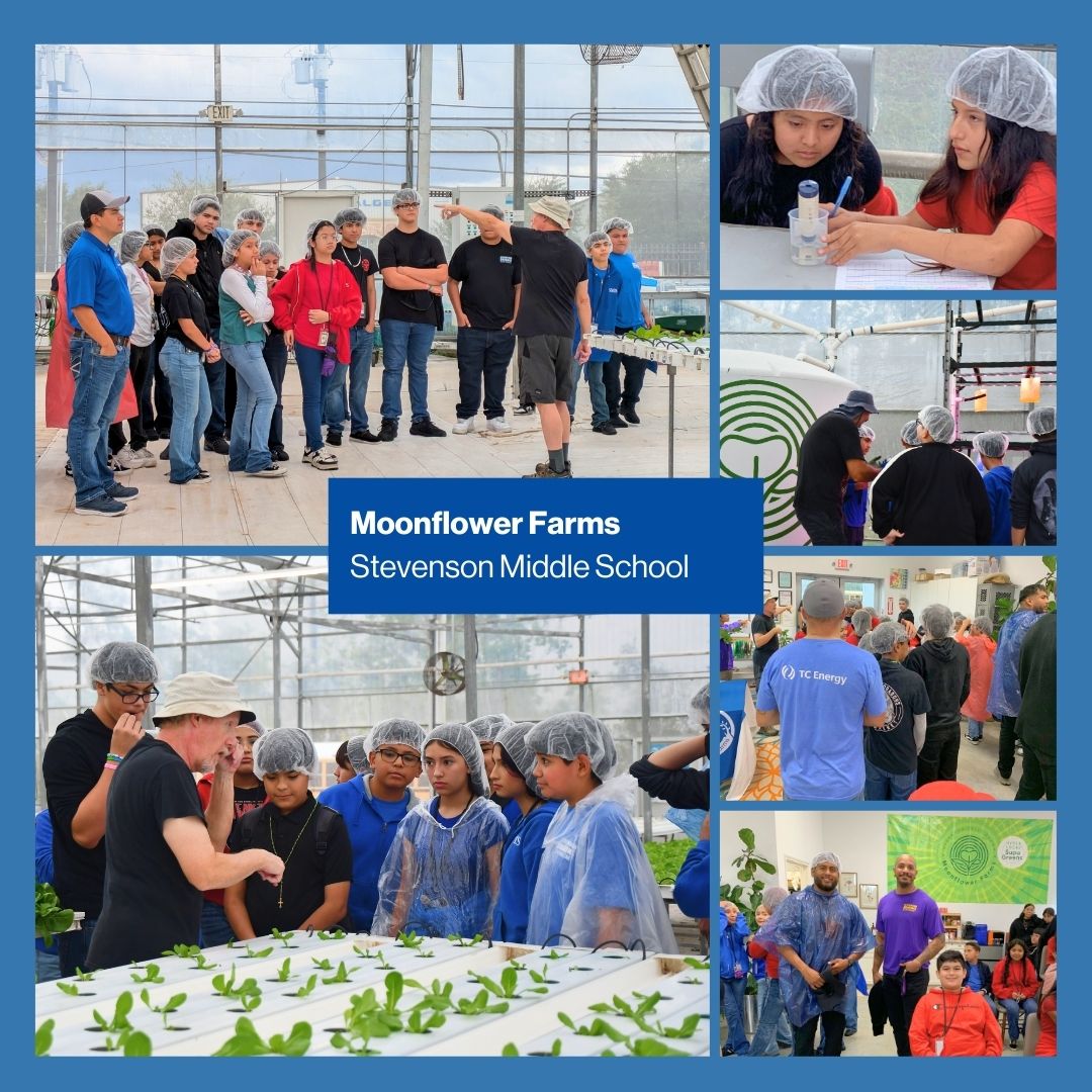 Children’s Environmental Literacy Foundation tweet media