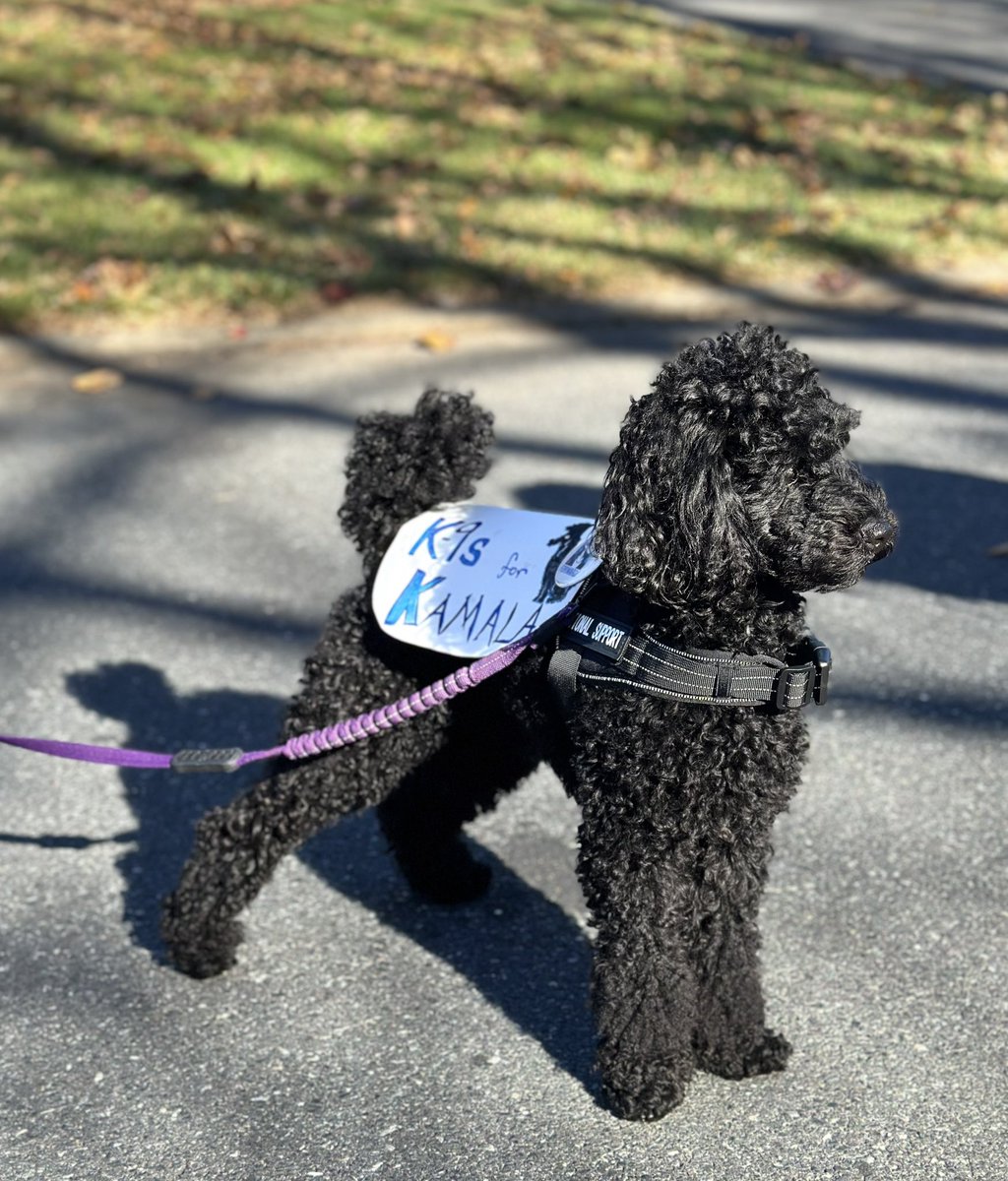 Ellen Qualls tweet media