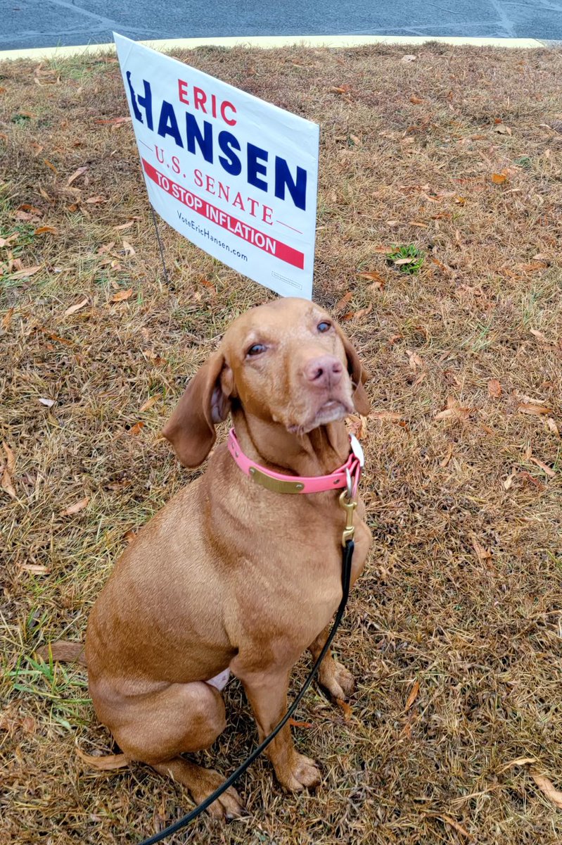 EricHansenDE's tweet photo. Team Hansen is out in full force today to get out the vote!! https://t.co/3dB9KYMPmu