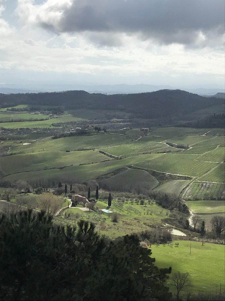 Fidelma McMorrow (She/Her) tweet media