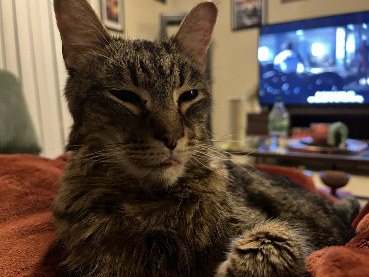 Sadie Boyd tweet media