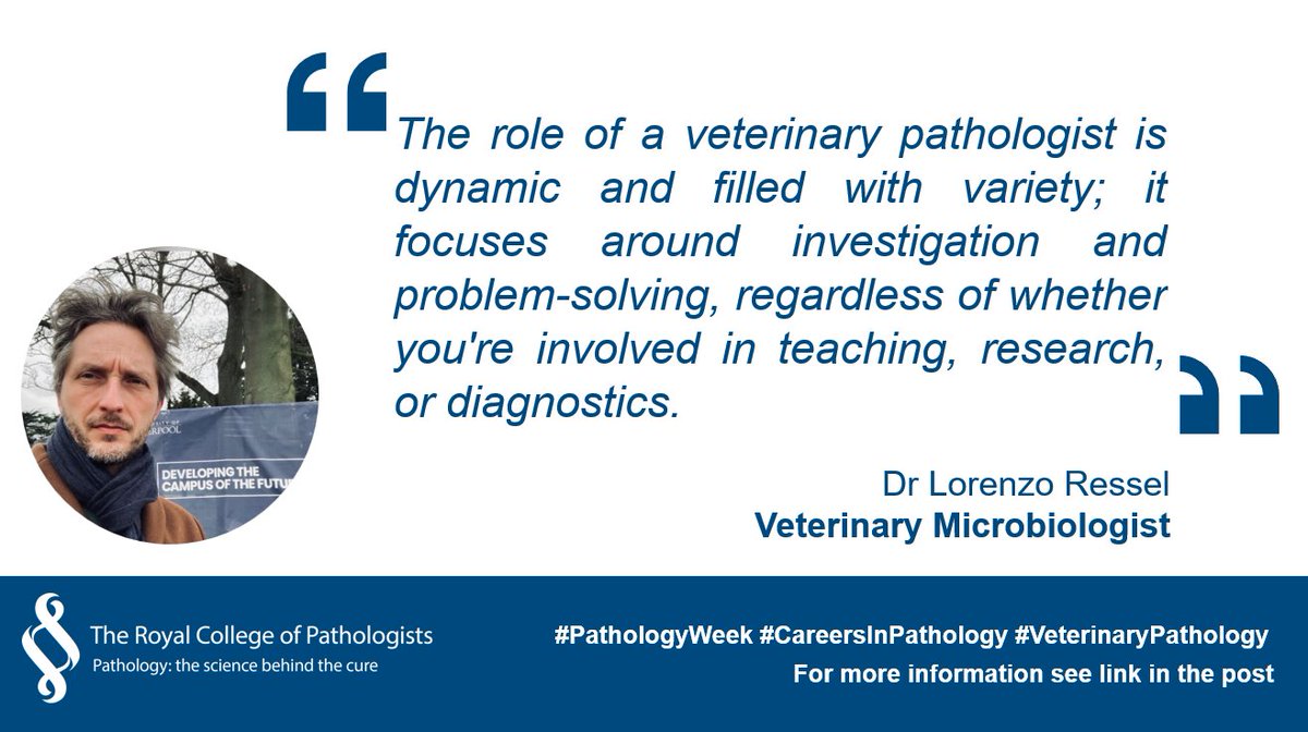 RCPath's tweet photo. Careers in pathology are incredibly diverse, each focus on a different area of prevention, diagnosis and treatment of disease. Where could #CareersInPathology lead you?
Today, we check out #VeterinaryPathology with Dr Lorenzo Ressel:
https://t.co/R8xpwSLJmH
#pathologyweek https://t.co/SqZxmt5XMM