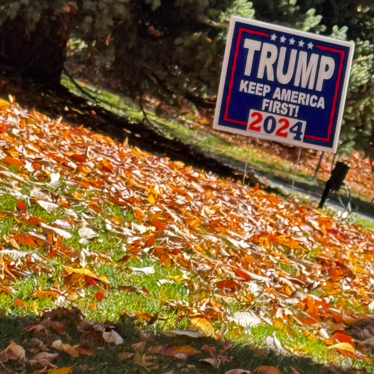 KyleClark's tweet photo. Signs from the Election Day dog walk. Go vote! If you live in Colorado, you can register to vote today and cast a ballot. https://t.co/O3cPpkhzRV