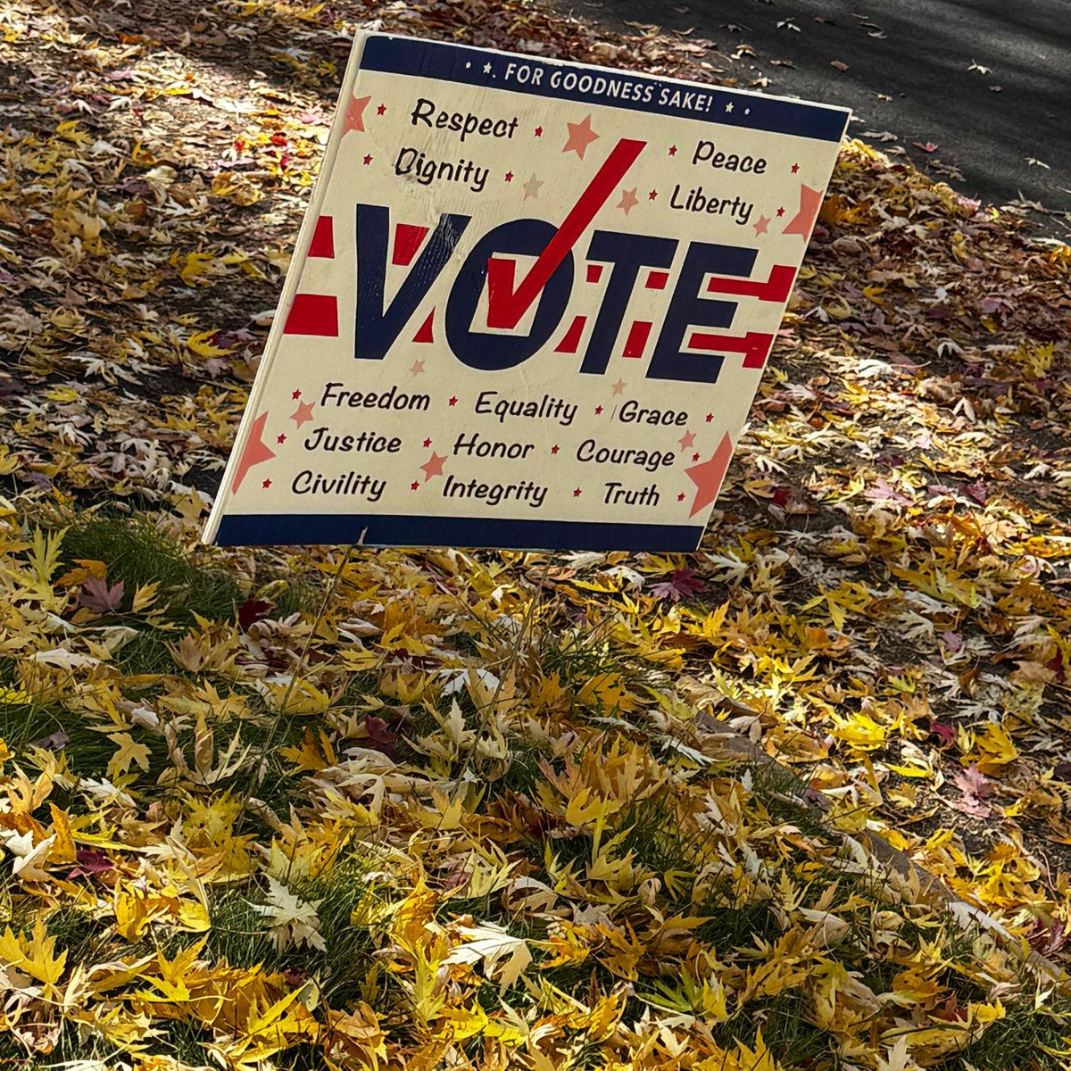 KyleClark's tweet photo. Signs from the Election Day dog walk. Go vote! If you live in Colorado, you can register to vote today and cast a ballot. https://t.co/O3cPpkhzRV