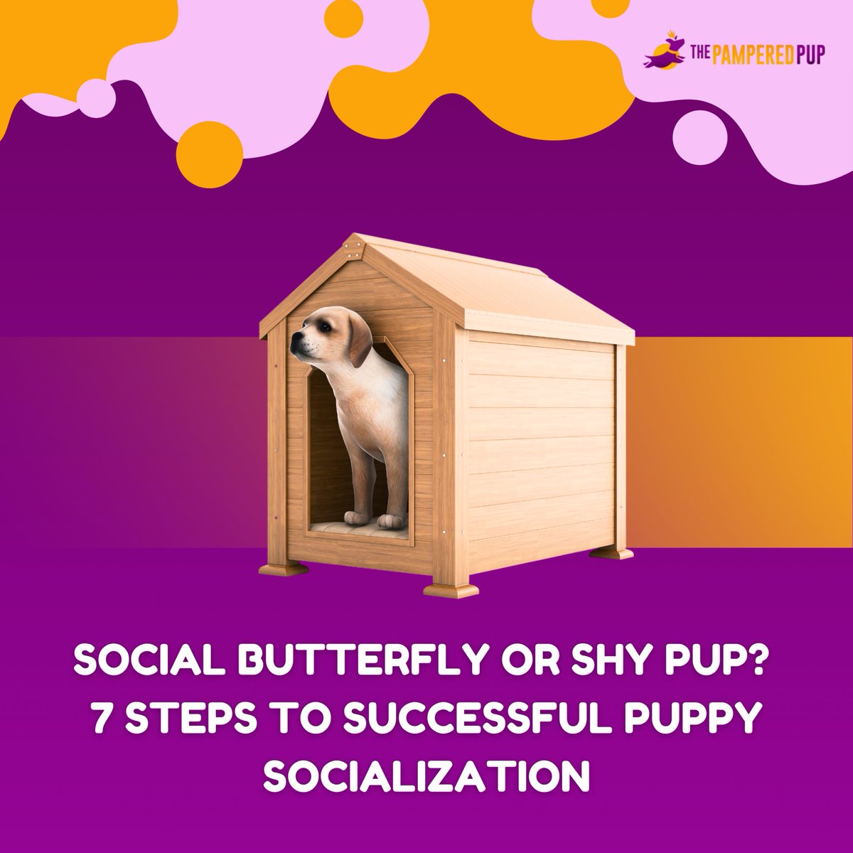 The Pampered Pup tweet media