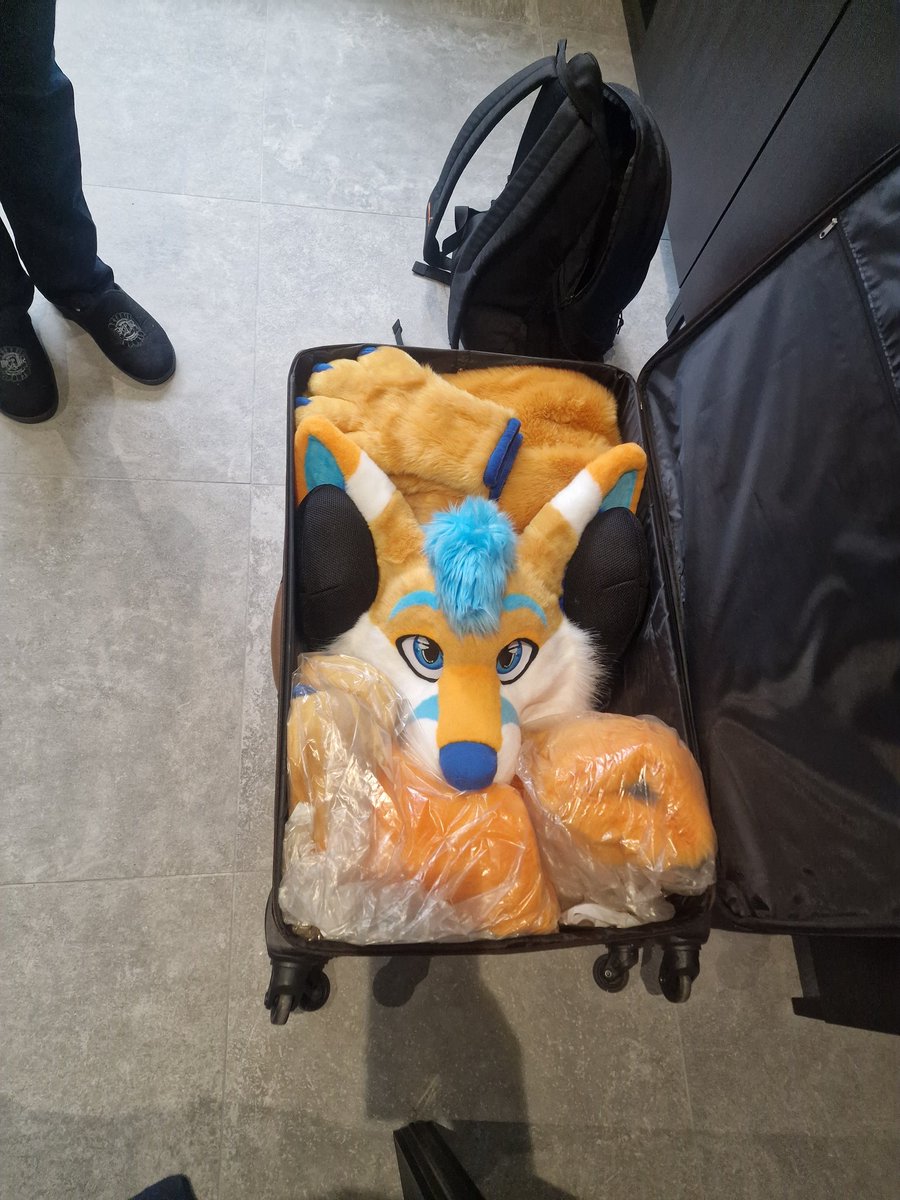 FennecDero's tweet photo. Time to pack my stuff and get ready for @FluufffCon ! Excited to start this adventure with @ZannakTheFox 🦊 https://t.co/YxzUBCuRih