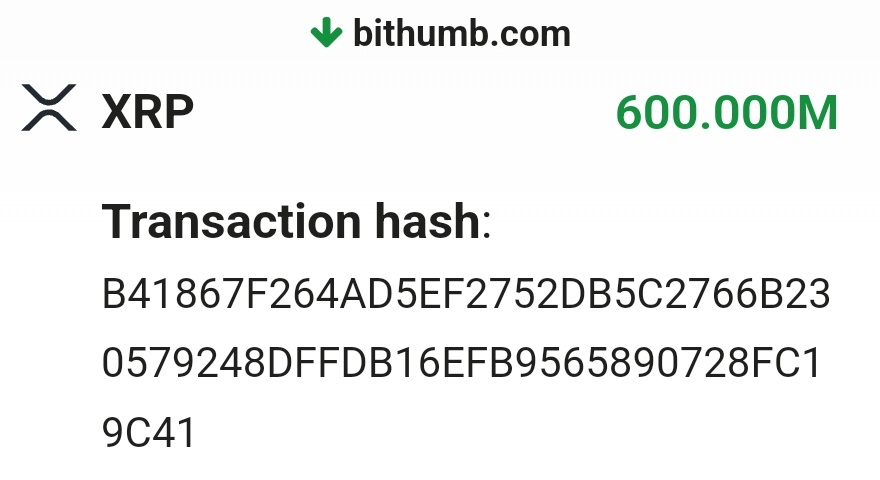 XRP CAPTAIN⚛ tweet media