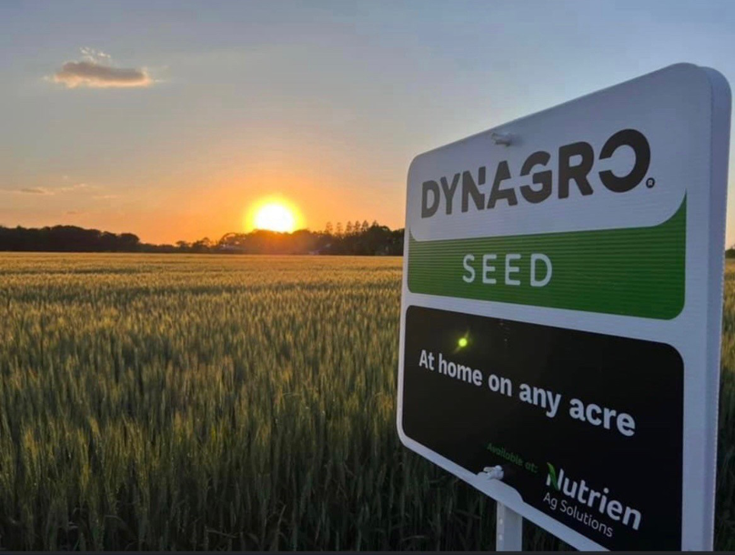 DynaGroSeed's tweet photo. Dyna-Gro Seed is proud to support efforts to rebuild in areas affected by #HurricaneHelene in any way we can - this month our team helped prepare and donate two truckloads of our wheat variety 9290 to plant as a cover crop along affected highways. https://t.co/c2X21quB7K https://t.co/QXDLVmYYAq