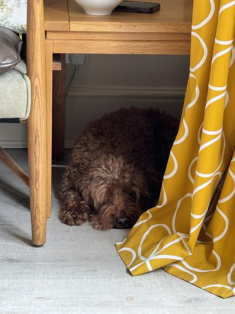 Dan Walker tweet media