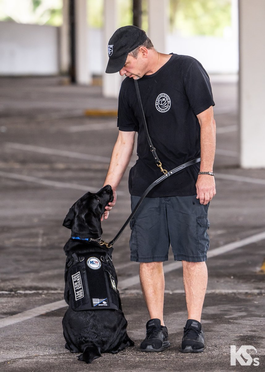 crosscountrymtg's tweet image. Meet Ellis and his new battle buddy, Valor. A dedicated Veteran and an eager service pup brought together through the impactful work of @k9sforwarriors, they're ready to take on tomorrow - and CCM is beyond proud to have played a part in this life-changing meeting.