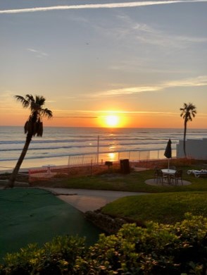 Anderson Coach tweet media