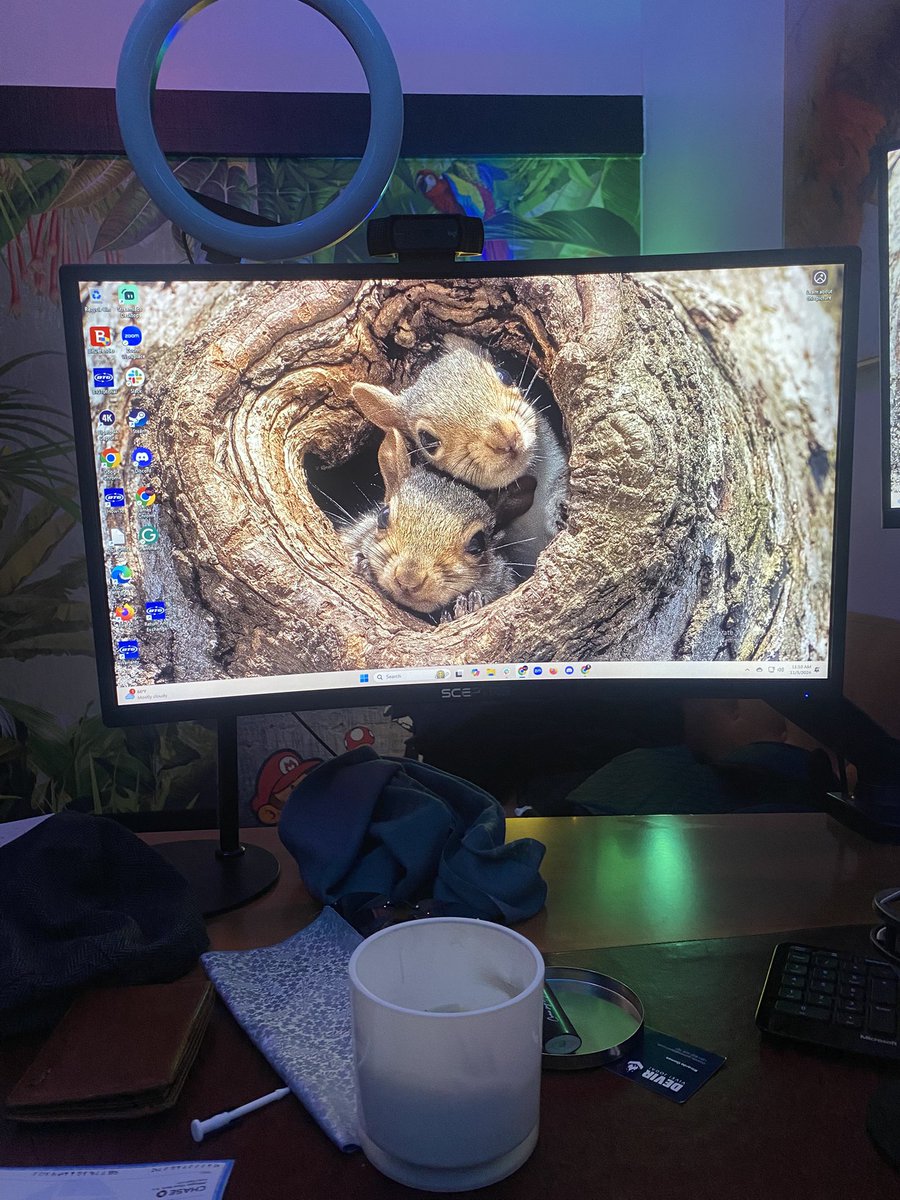 BlinCJames's tweet photo. Even my windows is asking me not to forget that squirrel lives matter https://t.co/hLOTfOQrhG