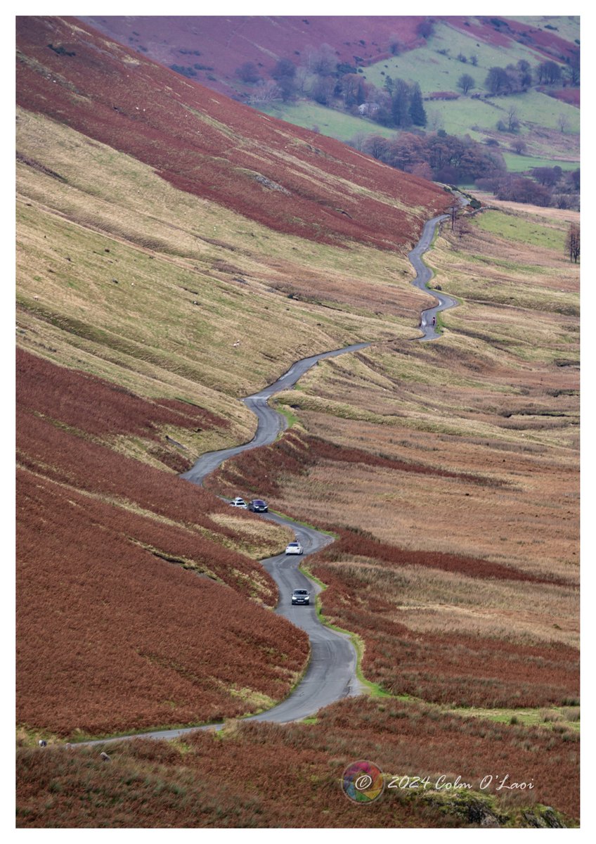 Colm O Laoi tweet media