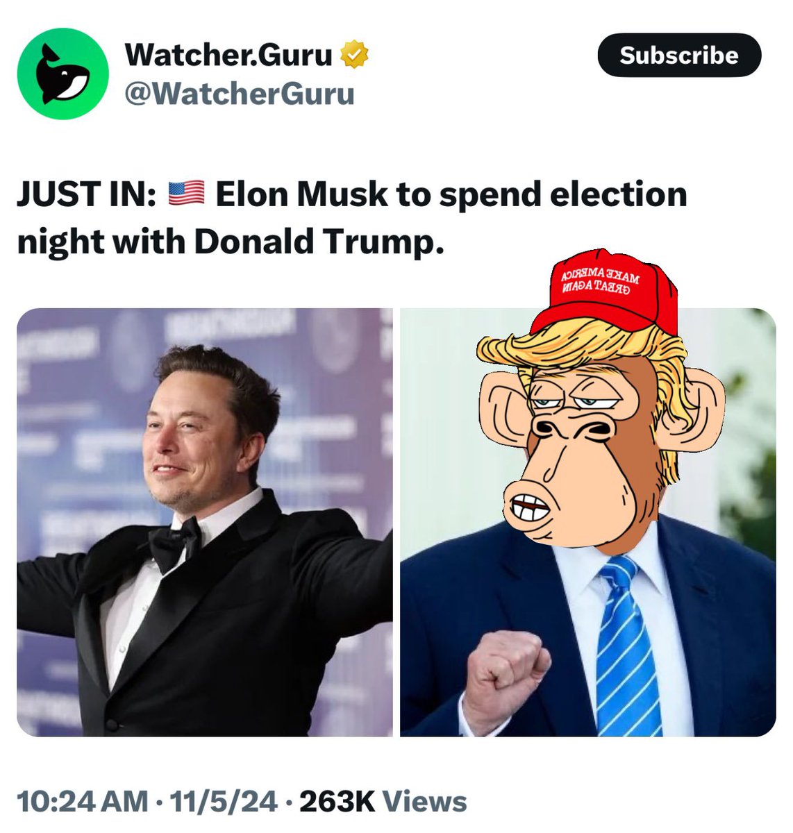 Time to vote!

Make sure you vote $MAGA to Make America and Ape Great Again