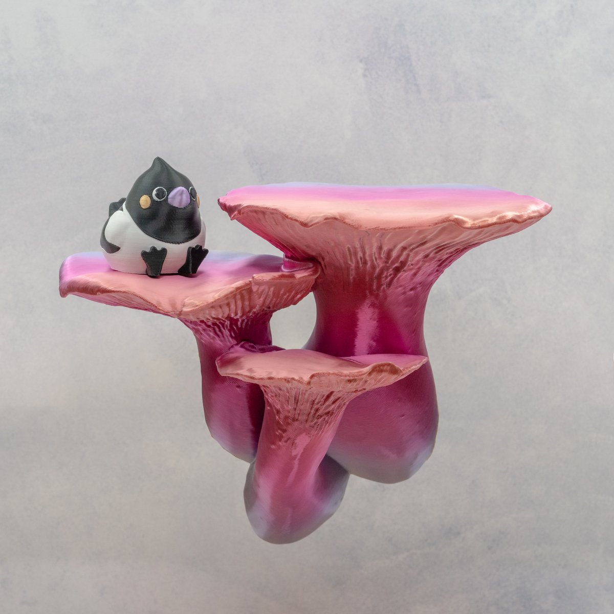 Gazzaladra tweet media