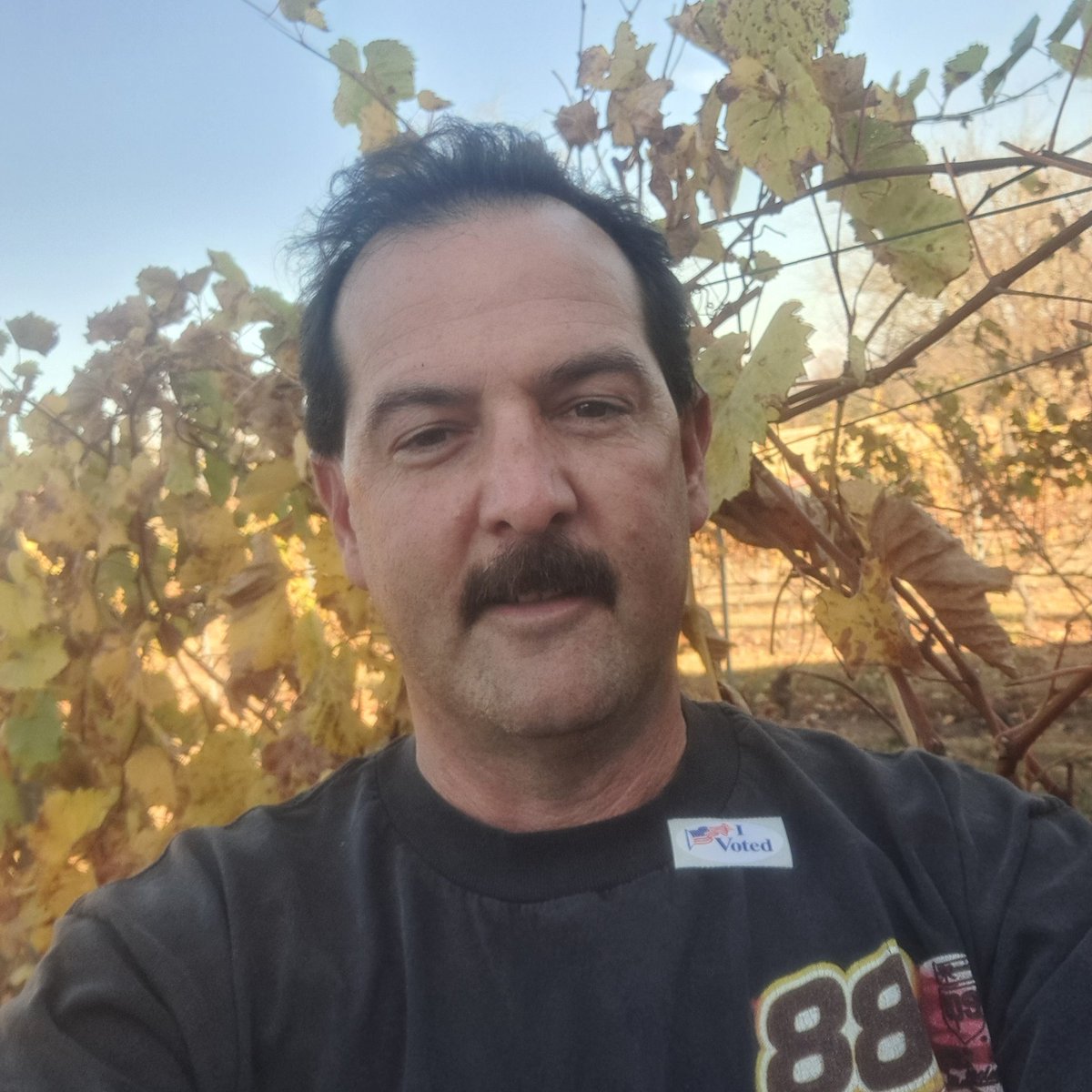 OYCWineCloud's tweet photo. I got my #vote in!!!
#Vote2024 https://t.co/fW4QvJahNj