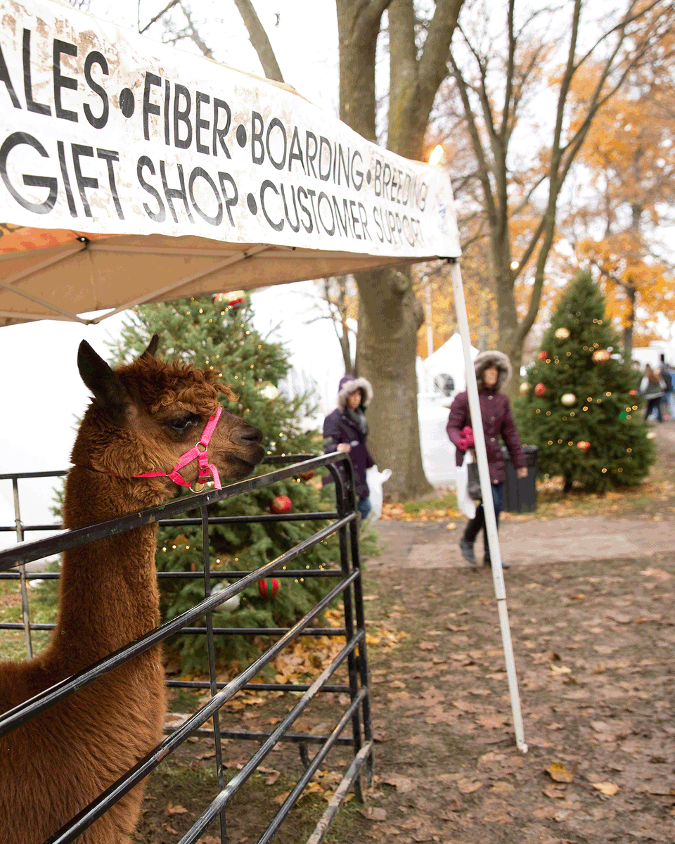 🎄 Granger Homestead is back with their beloved Canandaigua Christkindl Market for 2024! 

Plus, don’t miss the enchanting Festival of Trees every weekend in November. 🌟

visitfingerlakes.com/event/granger-…