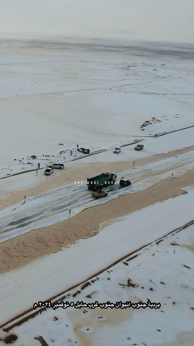 #وبل_بردي tweet media