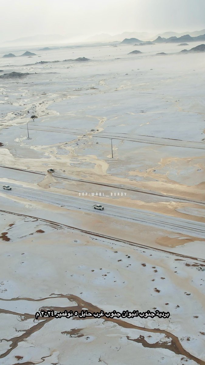 #وبل_بردي tweet media