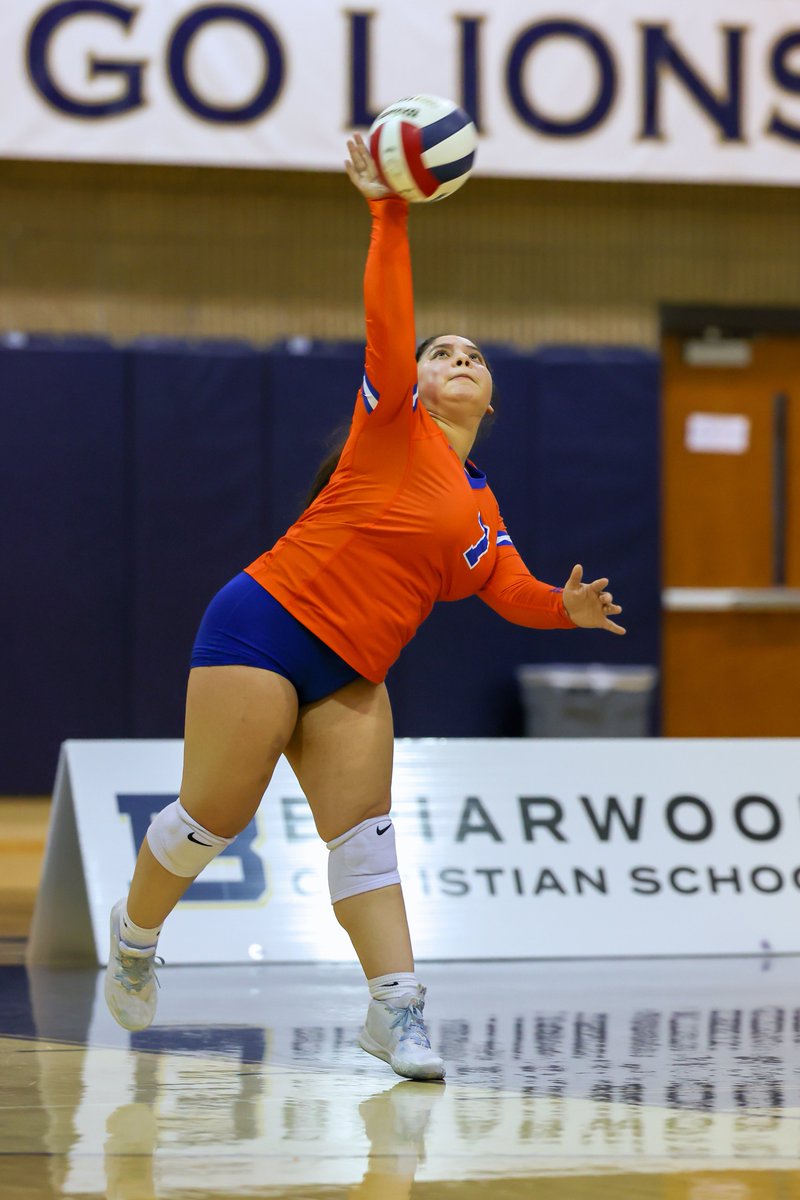 Andrew Simonson tweet media