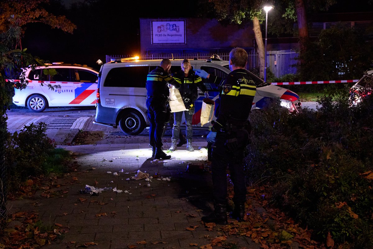 Steekpartij op de Nachtegaallaan in Rozenburg