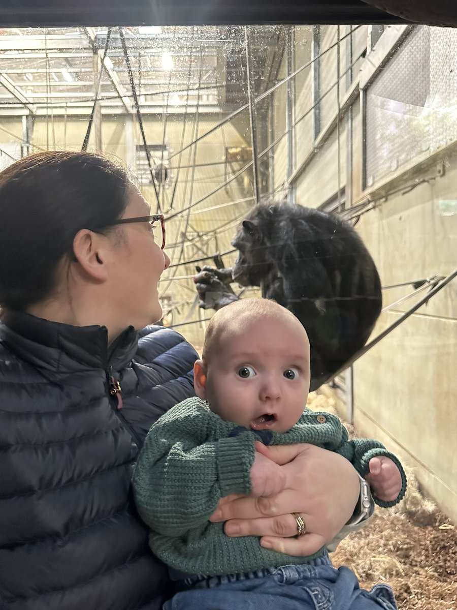 Planning on enjoying the last few weeks of my maternity leave with this absolute dude 🥰
We loved <a href="/TwycrossZoo/">Twycross Zoo</a> today