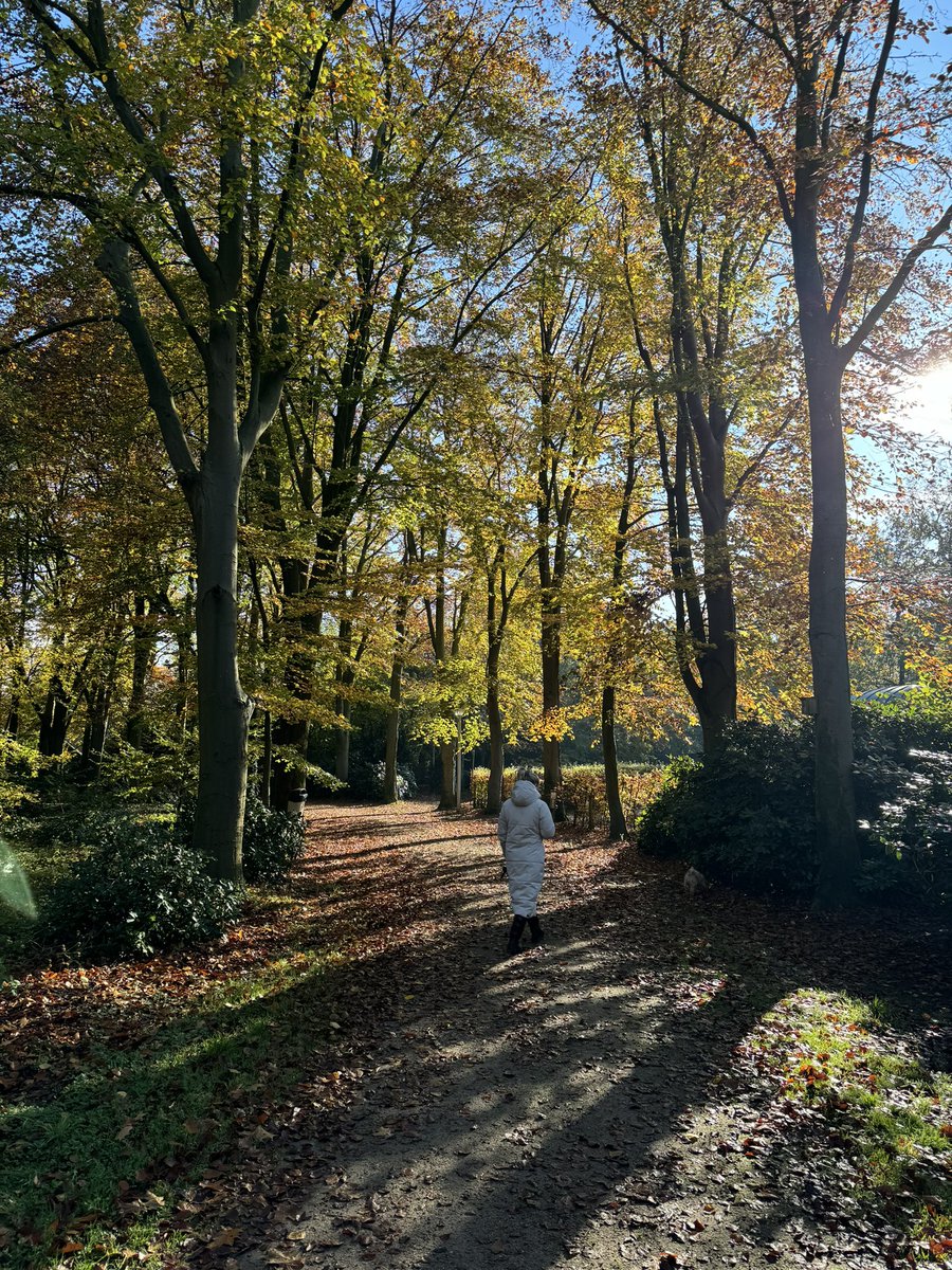 Het Gerardus Majella Park in Overdinkel is een prachtige plek, vooral in de herfst! Je kunt hier rustig genieten van de natuur, de mooie herfstkleuren, en de rust van het park. Echt een aanrader voor een herfstwandeling!
visitdeluttelosser.nl/zien-doen/bele…
