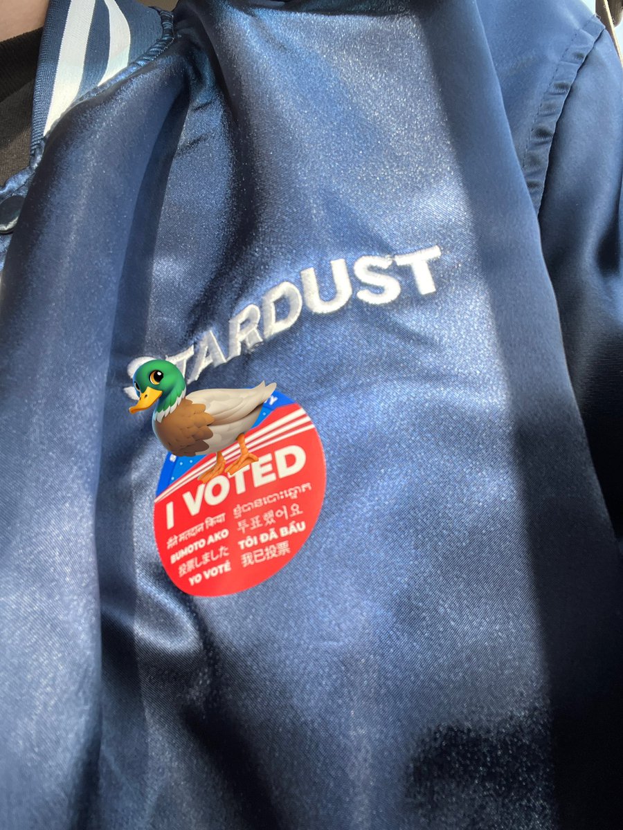 justmodjo's tweet photo. First time being able to vote, I love our immaculate and beautiful country 🪩✨ https://t.co/rMlpaiaFtF