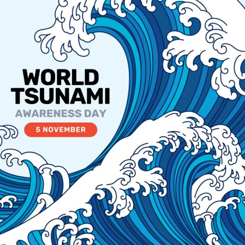 ProyectoTrampa's tweet photo. En 2015 la ONU designó el 5 de noviembre como el Día Mundial de Concienciación sobre los Tsunamis porque la alerta y la acción temprana salvan vidas y pueden evitar un desastre. https://t.co/ZoYjKqdpnd