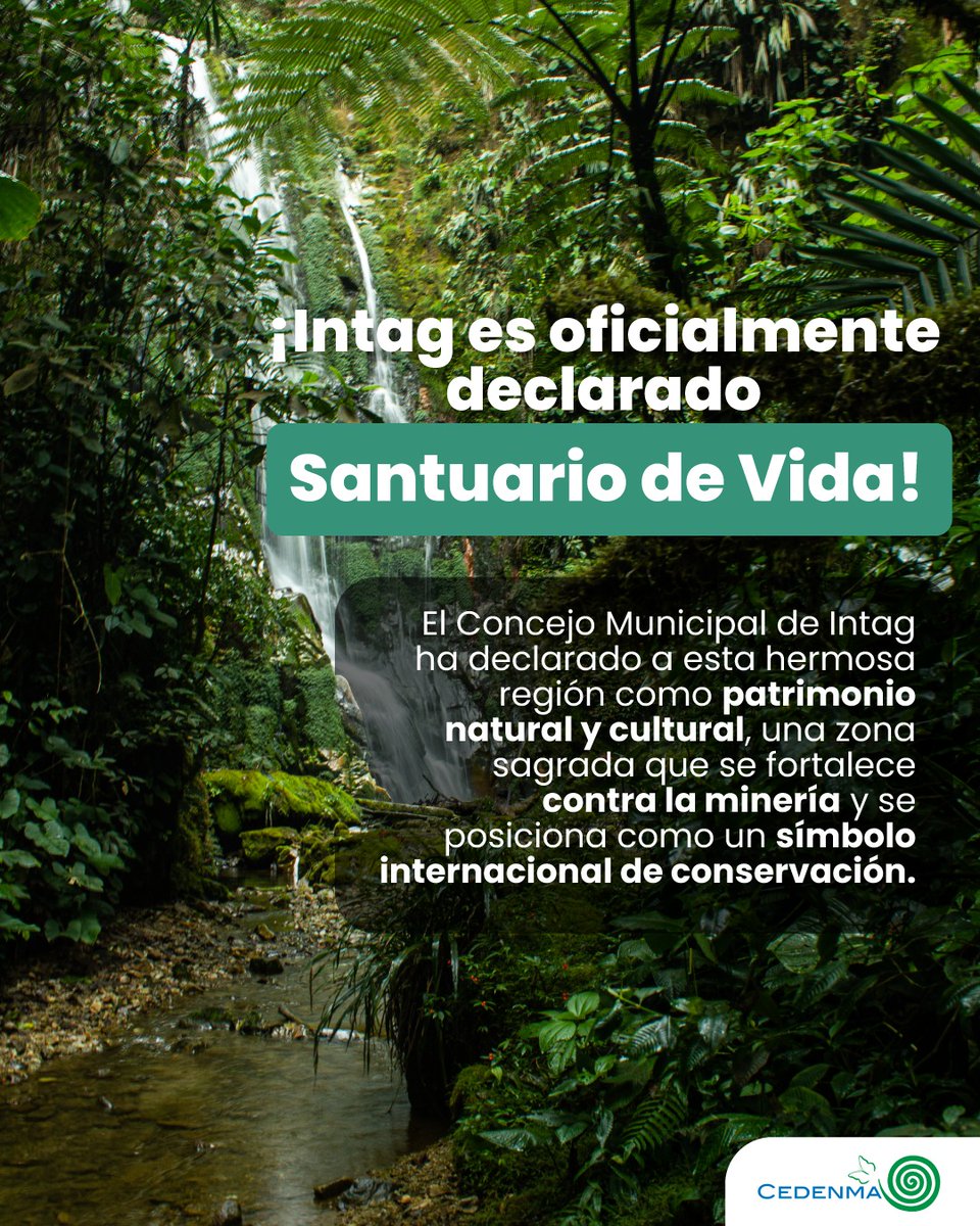 CEDENMA's tweet photo. 🐸Intag ha sido reconocido como Santuario de Vida por el Concejo Municipal de Intag, un refugio natural y cultural que simboliza la resistencia frente a la minería. 

🙌Este reconocimiento consolida a Intag como un emblema de conservación y esperanza para la biodiversidad. https://t.co/K711kICE9j