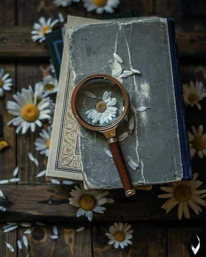 لا تبحث بــين الناس على مـن يحبــك 
لأنك لن تجده  .. لأن مـن يحبــك فعلاً 
سـتجده دائماً  جانبــك  " ♥🕊