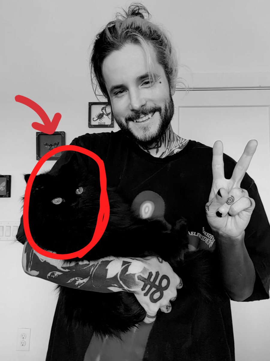 DID YOU SEE IT?
Some believe this is a photo of a cat, others believe it's 100% REAL proof of the paranormal
You decide