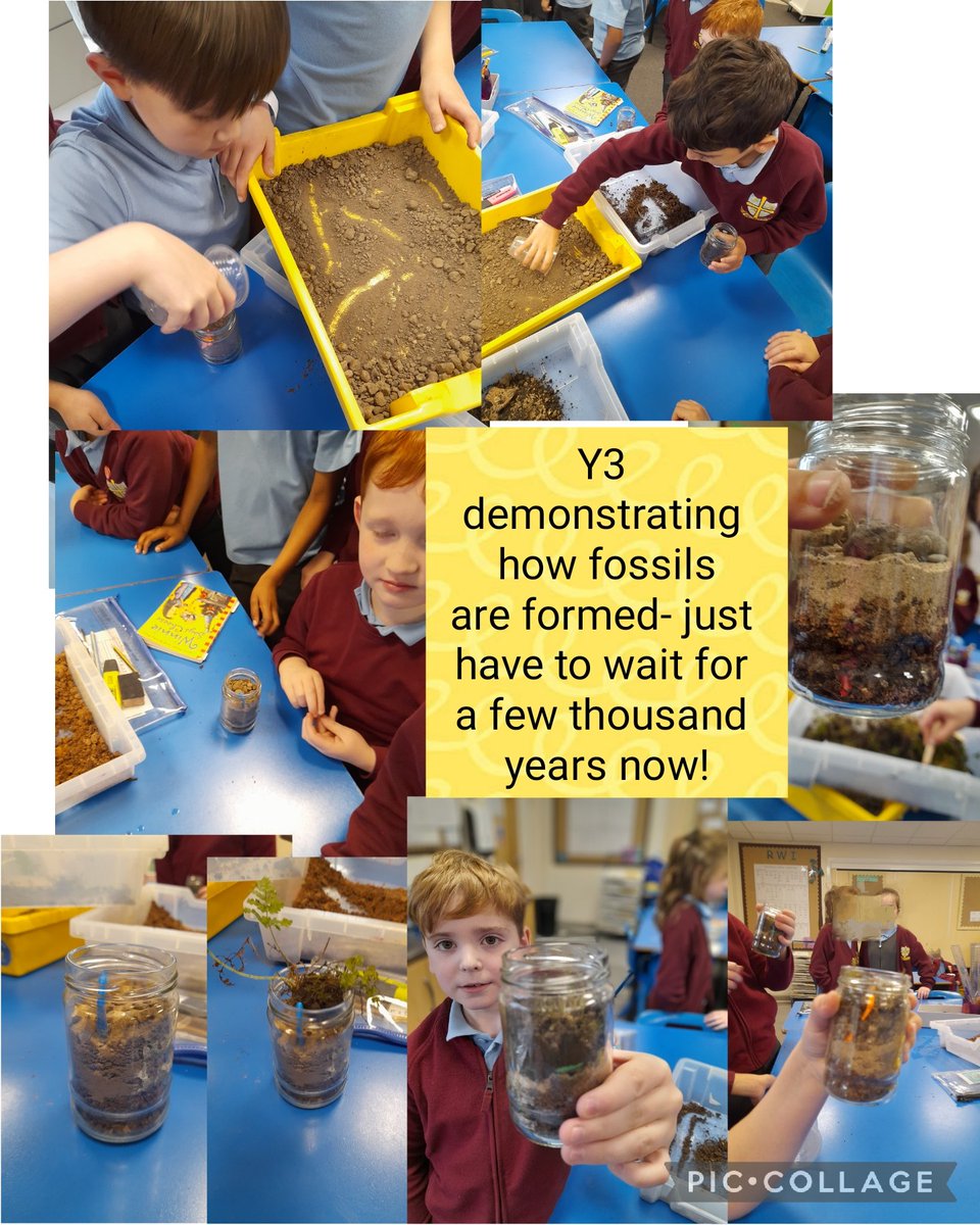 Our science work this week! Ask your children what has been buried!