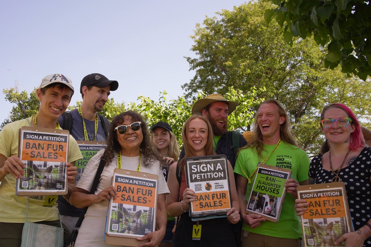 Today, I'm reflecting on the past year &amp; a half of this campaign with <a href="/ProAnimalFuture/">Pro-Animal Future</a>. 150+ volunteers collected over 30,000 signatures to get TWO pro-animal initiatives on Denver's ballot. Our opposition spent over $2M fighting us. Now, it's up to voters. #banfur #banslaughter