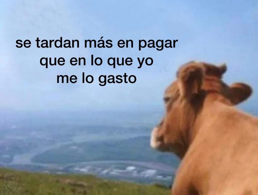 SomosSarcasmo's tweet photo. https://t.co/fTKcSnJclJ